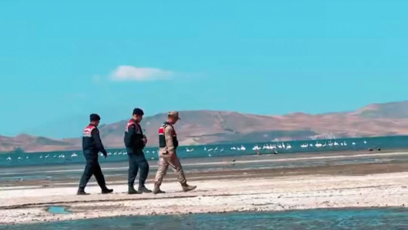 Göldeki flamingoları korumak için jandarma geldi