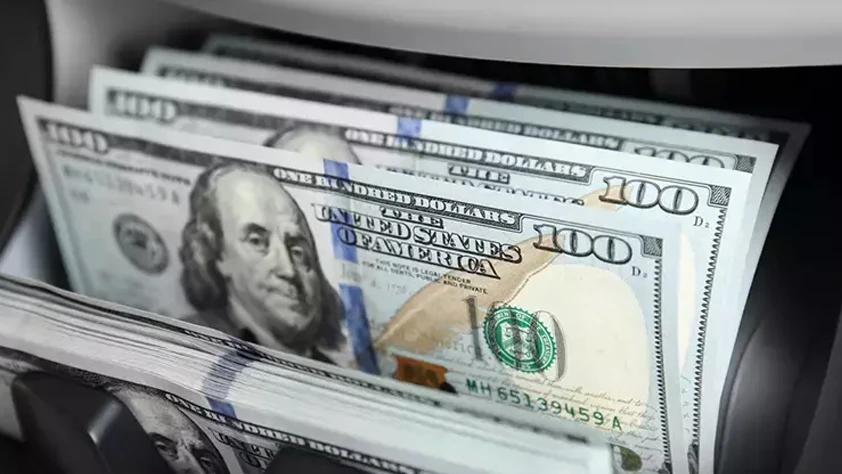 Goldman Sachs'tan Türkiye yorumu: Döviz rezervlerinde kayıp abartıldı