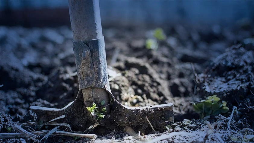 Gübre için kritik karar:  Amonyum nitrat ve fosfatta gümrük vergisi sıfırlandı