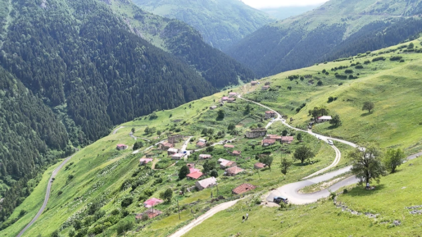 Gümüşhane'deki "Taşköprü Yaylası" doğaseverlerin uğrak noktası oldu