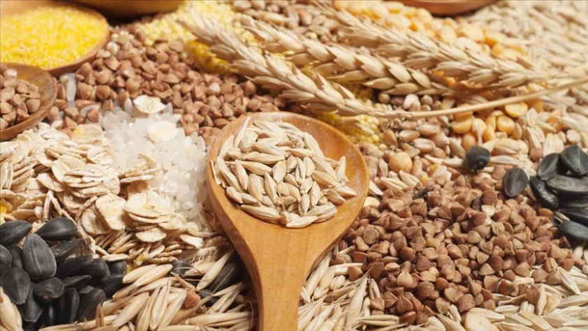 Güneydoğulu hububatçılar rotayı Asya’ya çevirdi