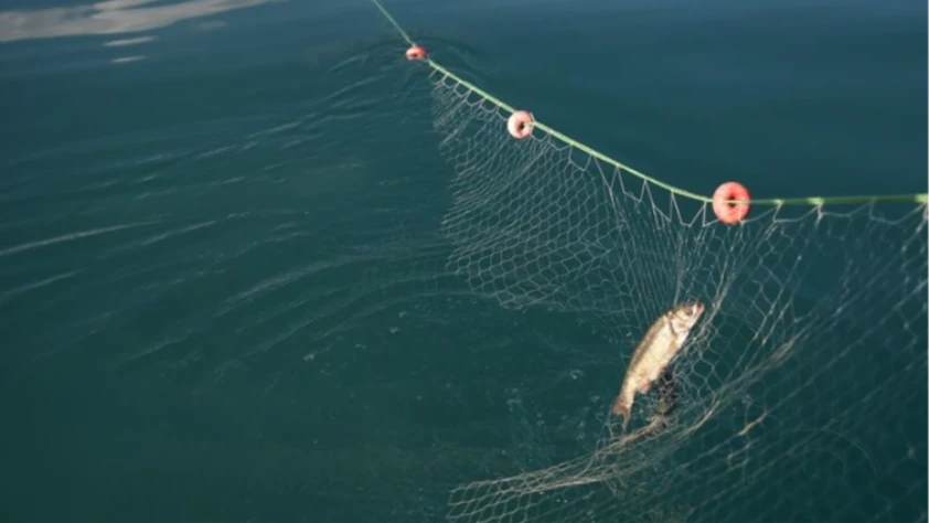 Hayalet ağlar toplanmaya devam ediyor! 5 bin metrelik dev ağ çıkarıldı