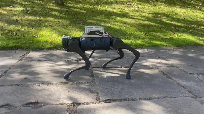 Hayvan refleksine sahip ilk robot köpek, eğitilmeden ormanda yürüdü