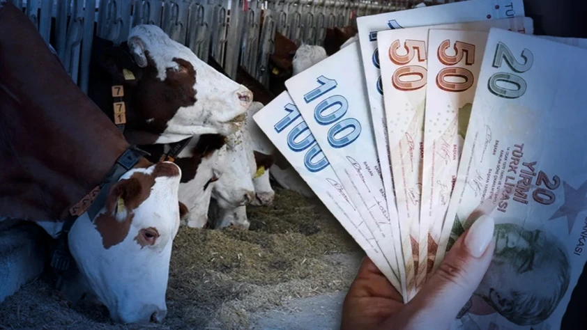 Hayvancılık desteklemelerinde yeni düzenlemeler Resmi Gazete'de