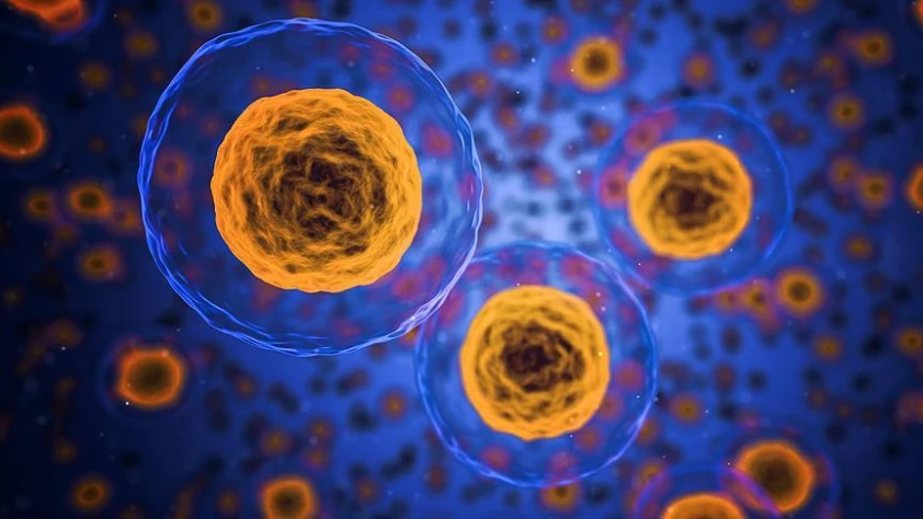 Hücre içi hastalık tespiti mümkün oluyor: Nanoelmas ve kuantum