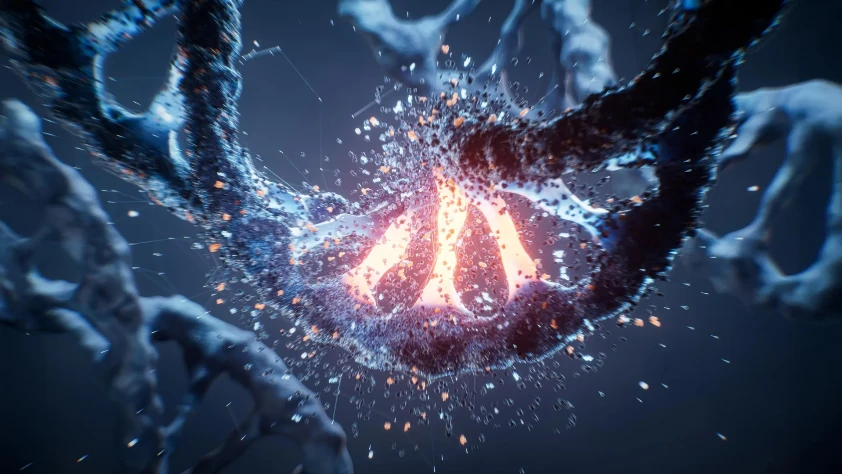 Hücrenin kalite kontrol sistemi deşifre edildi: 'DHX29'