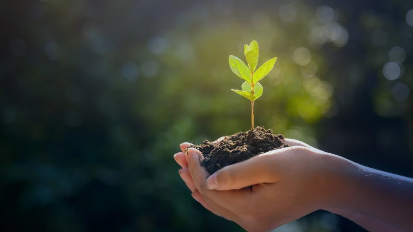 İki bakanlıktan 'yeşil vatan' iş birliği: Her YHT yolcusu için bir fidan dikilecek