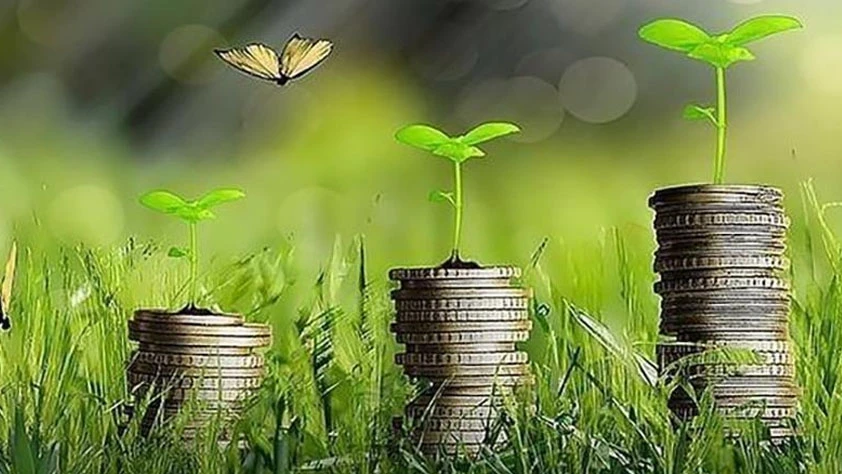 İklim finansmanında yıllık 1,3 trilyon dolar hedefi: UNFCCC 'Ulaşılabilir ve gerekli' dedi