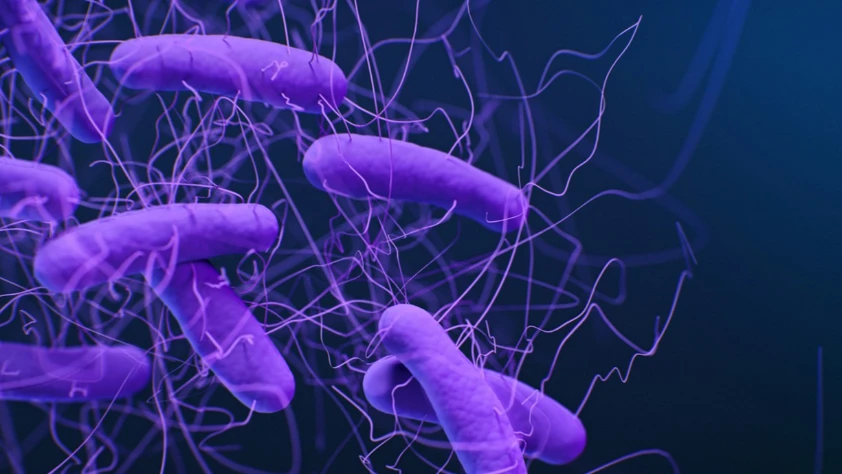 İlaca dirençli bakterileri saatler içinde yok eden nanojel geliştirildi