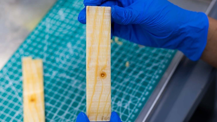 İnşaat sektöründe yeni dönem: Isı depolayan ahşap malzeme geliştirildi