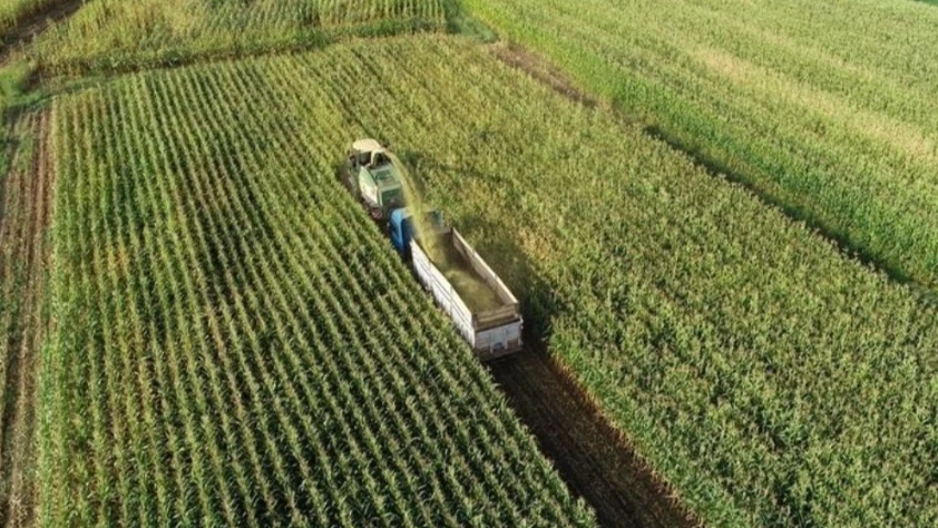 IPARD-III’de büyük destek: 156 yerel eylem grubuna 2,2 milyar lira hibe