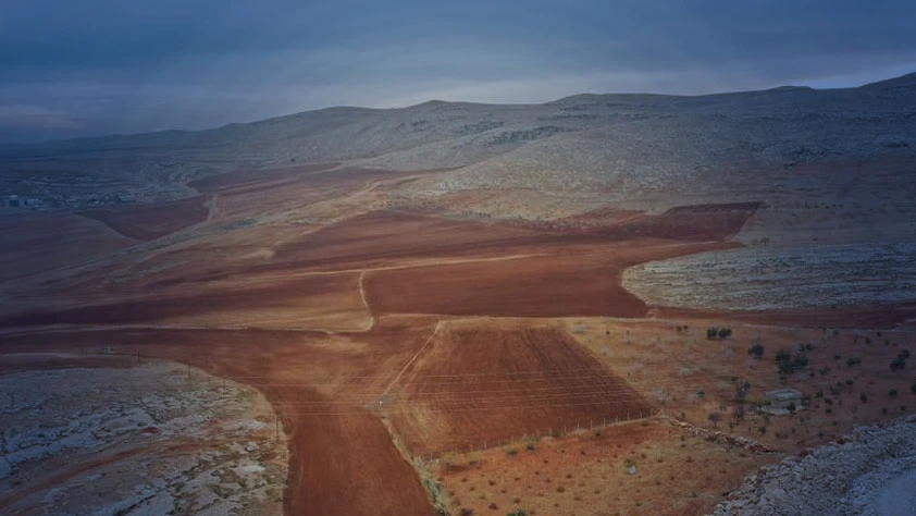 İşlenmeyen tarım arazileri üretime kazandırılıyor: Yüzde 75'e varan hibe desteği