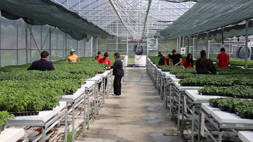 İstihdam edilenlerin sayısı 1 ayda 185 bin kişi arttı