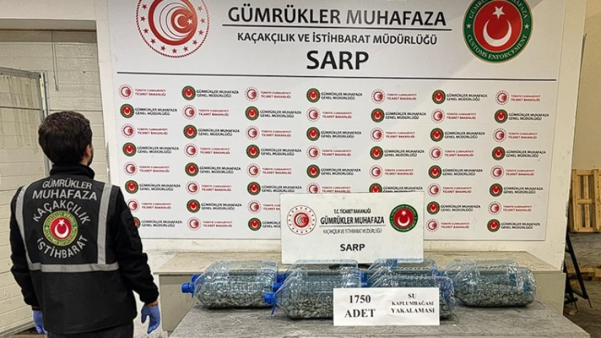 Kaçak canlı hayvan operasyonu: 85 bin 342 hayvana el konuldu