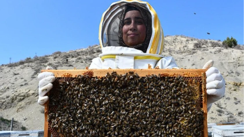 Kadın arıcıdan 3 ilde üretim: 4 çeşit bal elde ediyor