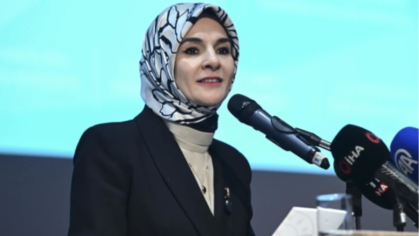 Kadına Yönelik Şiddetle Mücadele V. Ulusal Eylem Planı 25 Kasım'da açıklanacak