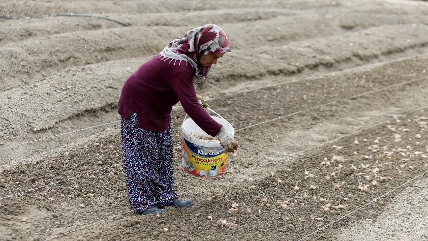 Kadınların ihracattaki payında Giresun ilk sıraya yerleşti