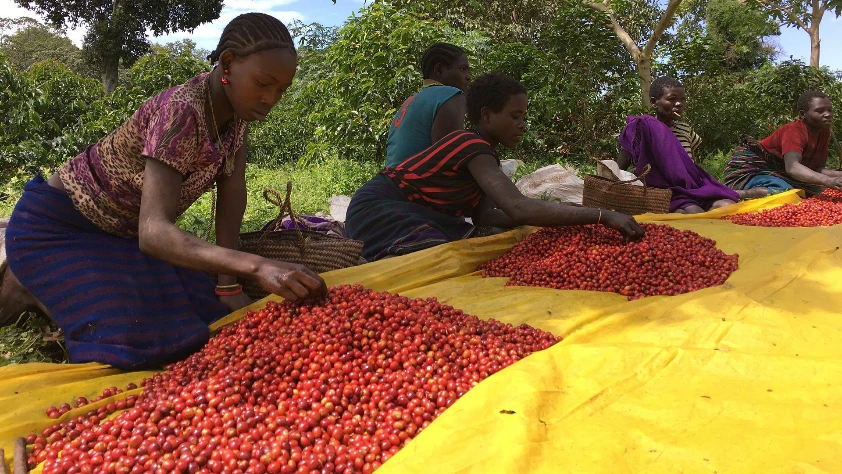 Kahve köpüğünü attı