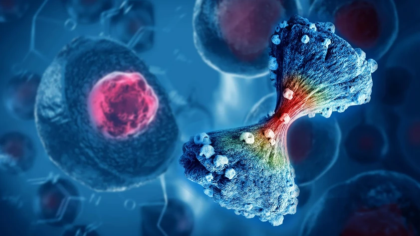 Kanser yayılımını tahmin eden yapay zeka modeli geliştirildi: MangroveGS