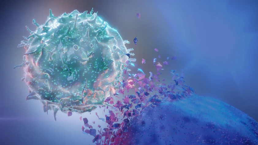 Kansere karşı bağışıklık hücrelerini güçlendiren ortak besin bulundu