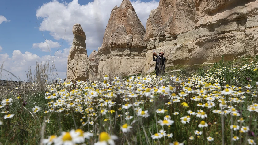 Kapadokya çiçeklerle buluştu