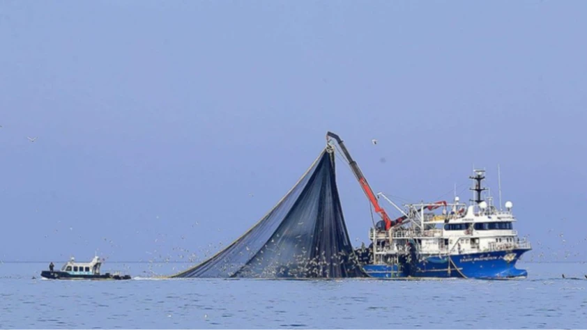 Karadeniz’de su sıcaklığı düşmedi: Hamsi soğuk sulara yöneldi