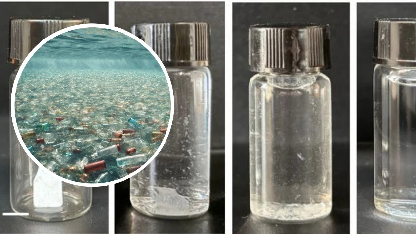 Kendi kendini imha eden canlı plastik geliştirildi