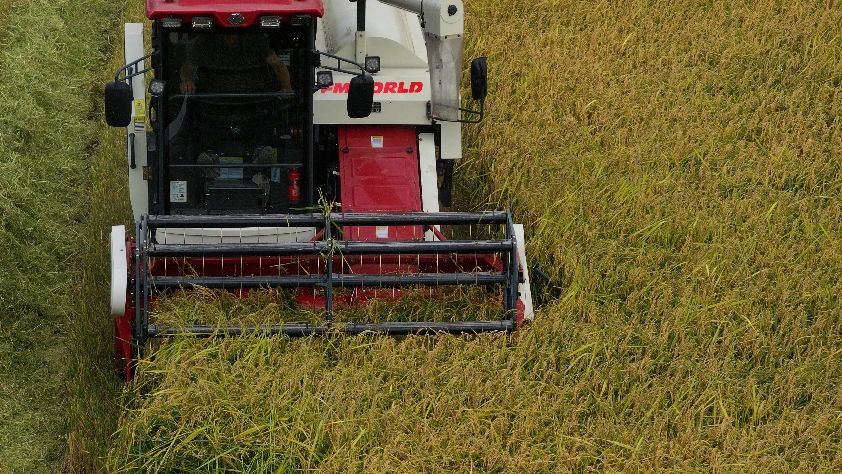 Kırsal kalkınmaya 10 milyarlık destek: Kırsal Kalkınma Yatırım Programı 2026 başvuruları başladı