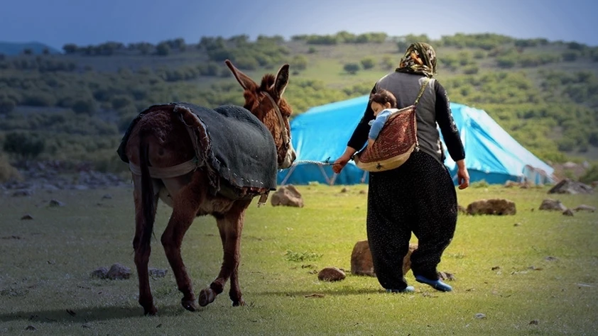 Kırsal nüfus eriyor: Belde ve köylerde yaşayanların sayısı azaldı