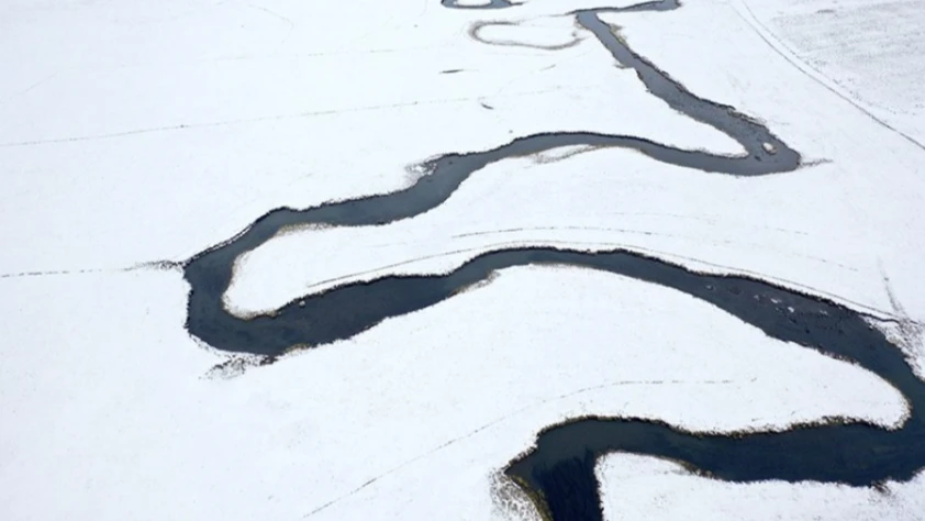 Kışın donmayan menderesler hayvancılığa can suyu oluyor