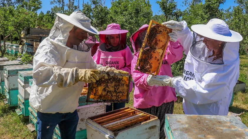 Kooperatiflere KGF kredisi geliyor