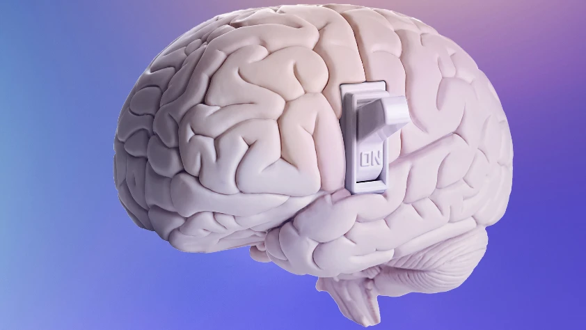 Kötü alışkanlıkların biyolojik sebebi: Bağımlılığın nörolojik kodları çözüldü