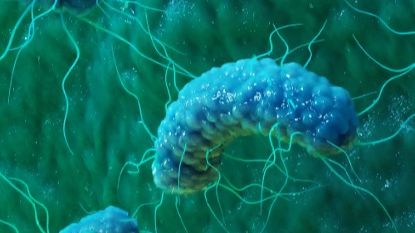 Kumaş boyamaya çevre dostu alternatif