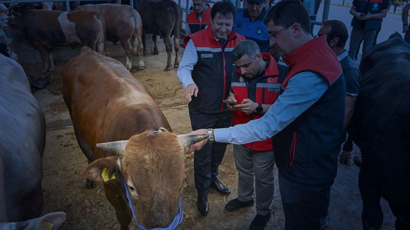 Kurban Bayramı öncesi denetimler sıklaştı: 4 milyondan fazla hayvan kontrol edildi