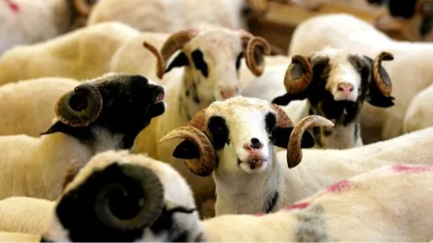Kurban Bayramı tatili ne zaman başlıyor, ne zaman bitiyor? Uzatıldı mı?