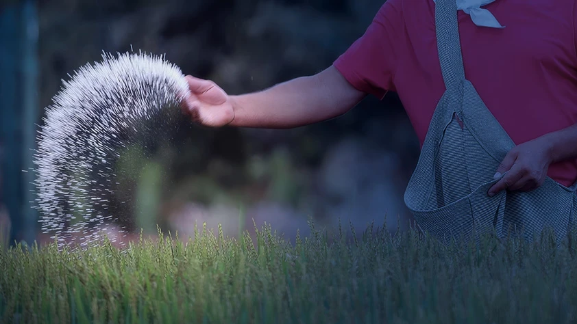 Küresel gübre krizi riski: Hürmüz Boğazı'ndaki tıkanıklık gıda güvenliğini tehdit ediyor