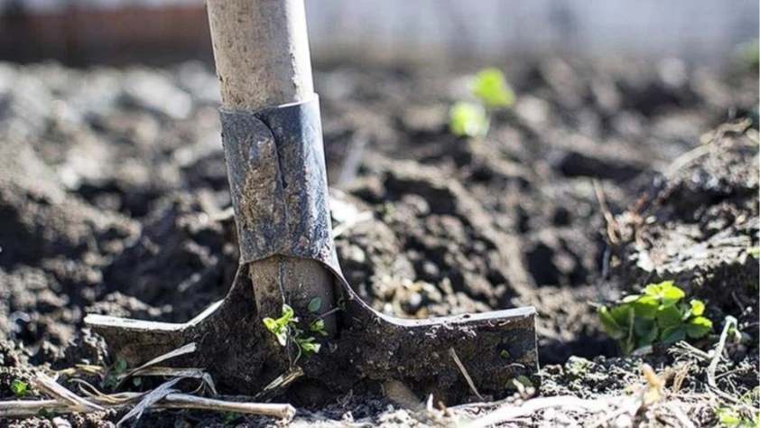 Küresel gübre krizinde alarm: Hürmüz kaynaklı tedarik daralması derinleşiyor