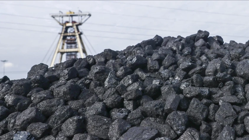 Küresel kömür talebinde hafif artış bekleniyor
