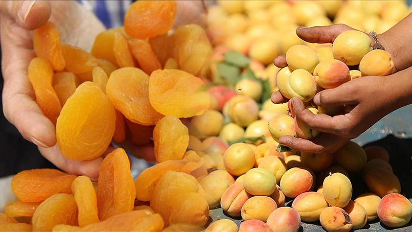 Kuru meyve ihracatının yüzde 25'ini karşılıyor! Lisanlı depo sayesinde dünya pazarında