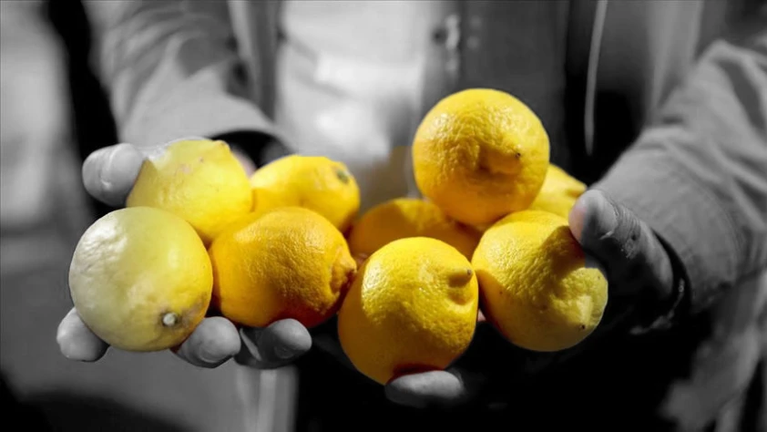 Limonda gümrük vergisi yeniden düzenlendi! 31 Temmuz'a kadar geçerli olacak