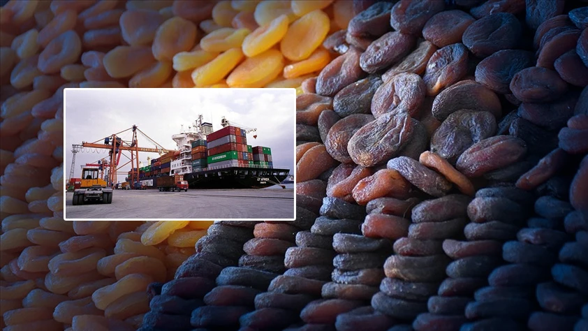 Lisanslı depoculuk etkisiyle zirai don ihracatı vurmadı! Kuru kayısıda 300 milyon lira barajı aşıldı