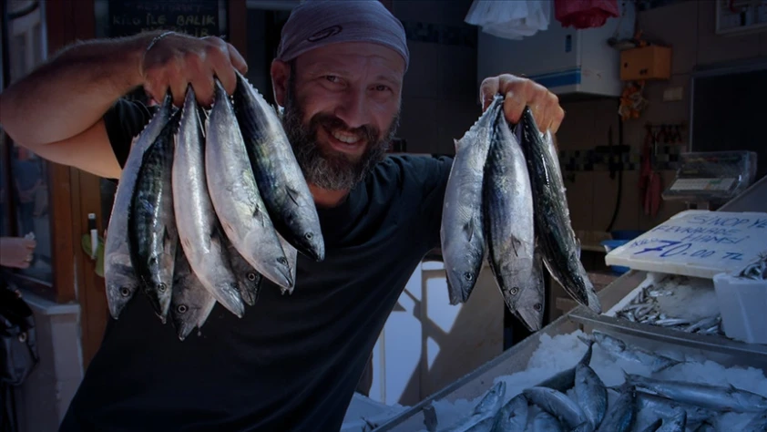 Lüfer bekleniyordu: Palamut geldi! İgneada açıklarında iğne atsan palamut geliyor