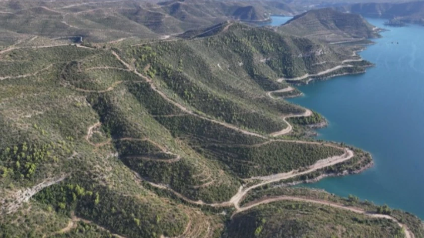 Manavgat’ta yangınla yok olan ormanlar yeniden yeşeriyor