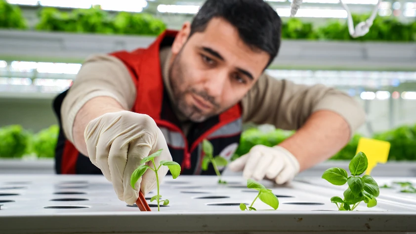 Megakentte gıda arzına ‘akıllı’ çözüm