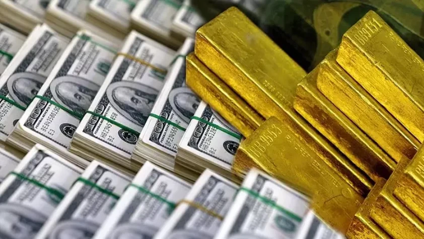 Merkez Bankası rezervlerinde sert yükseliş: 196 milyar doları aştı