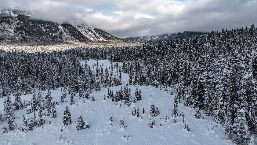 Mevsimin ilk yoğun karı yağdı! Doğa bembeyaza büründü
