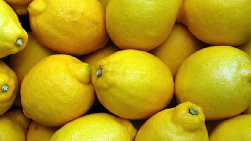 Meyve suyu için portakal ve limon depolanıyor