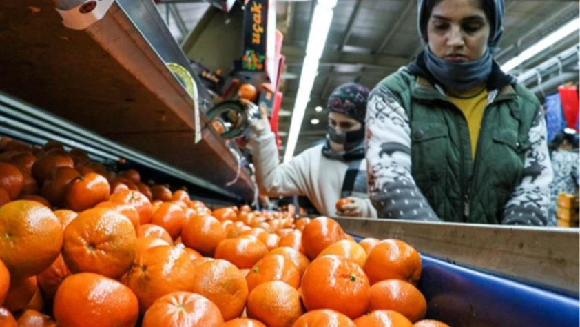 Narenciye ihracatı 2025'te Türkiye'ye 1,48 milyar dolar kazandırdı