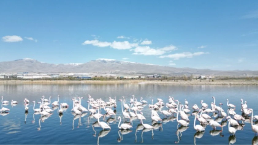 Niğde'deki barajların da doluluk oranı kuraklık nedeniyle düştü