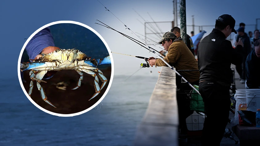 Oltasını alan sahile gitti! Kovalardakiler görenleri şaşırttı